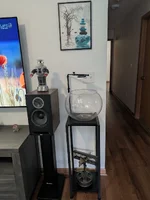 Empty Fish bowl.webp