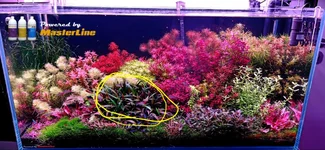 Screenshot 2026-06-11 at 3.43.34 PM.webp