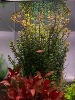 IMG_7085.webp IMG_7085.webp