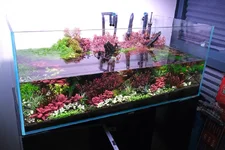 2hrAquaristDSCF3471E water change.webp