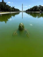 pool.webp