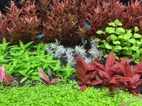 IMG_8148.webp IMG_8148.webp