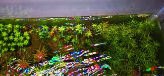 20260620_200324.webp