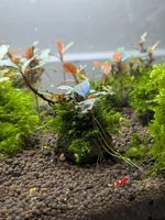 Image_20260627163533_443_1.webp