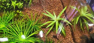 20260627_205030.webp