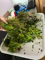 IMG_5145.webp IMG_5145.webp