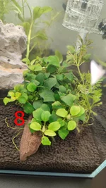 IMG_20260708_175950.webp