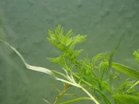 _7092358.webp