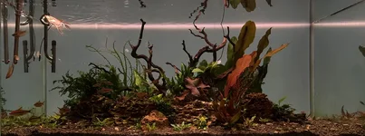 IMG_9899.webp