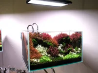 2hrAquaristDSCF3900E.webp 2hrAquaristDSCF3900E.webp