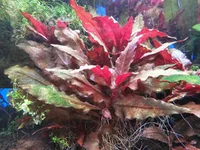 20260711_090551.webp