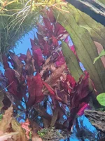 20260711_090609.webp