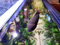 20260204_181942.webp
