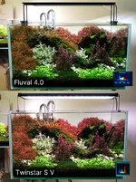 Fluval 40 vs Twinstar SV comparison .webp