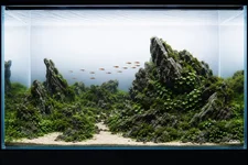 ChatGPT Image Jul 27, 2026, 09_08_27 PM.webp ChatGPT Image Jul 27, 2026, 09_08_27 PM.webp