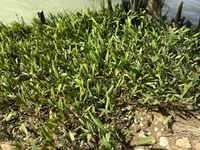 IMG_2403_Original.webp