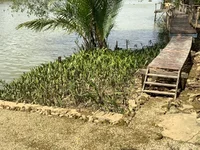 IMG_2402_Original.webp