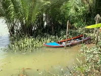 IMG_2404_Original.webp