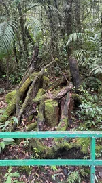IMG_1865.webp