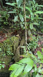 IMG_1853.webp