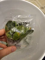 20260724_180111.webp