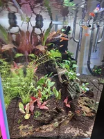 20260726_110210.webp