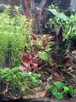 20260808_165013.webp