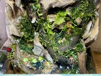 IMG_8008.webp IMG_8008.webp