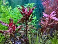 IMG_7388.webp IMG_7388.webp