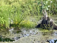 IMG_8359.webp IMG_8359.webp