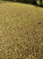 IMG_8330.webp IMG_8330.webp