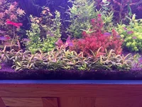 IMG_8253.webp IMG_8253.webp