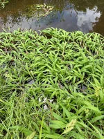 IMG_8125.webp IMG_8125.webp