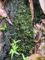 IMG_7949.webp IMG_7949.webp