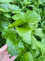 IMG_8402.webp IMG_8402.webp