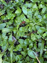 IMG_8647.webp IMG_8647.webp