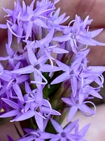 IMG_8653.webp IMG_8653.webp