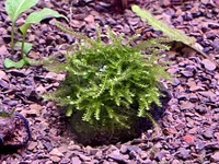 IMG_8808.webp IMG_8808.webp