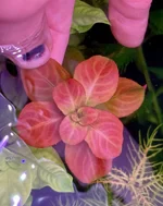 IMG_5088.webp IMG_5088.webp