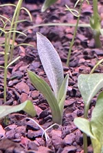 IMG_8985.webp