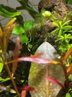 IMG_7586.webp IMG_7586.webp