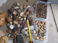 DSCN1107 (1).webp