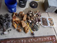 DSCN1104.webp
