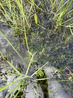 IMG_8941.webp IMG_8941.webp