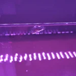 20260830_034557.webp 20260830_034557.webp