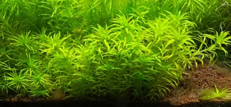 20260830_113148.webp