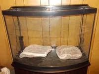 DSCN1216.webp