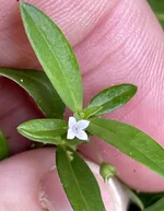 IMG_9475.webp IMG_9475.webp