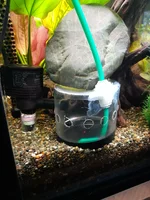 20260902_171914.webp 20260902_171914.webp