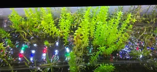 20260902_205255.webp 20260902_205255.webp